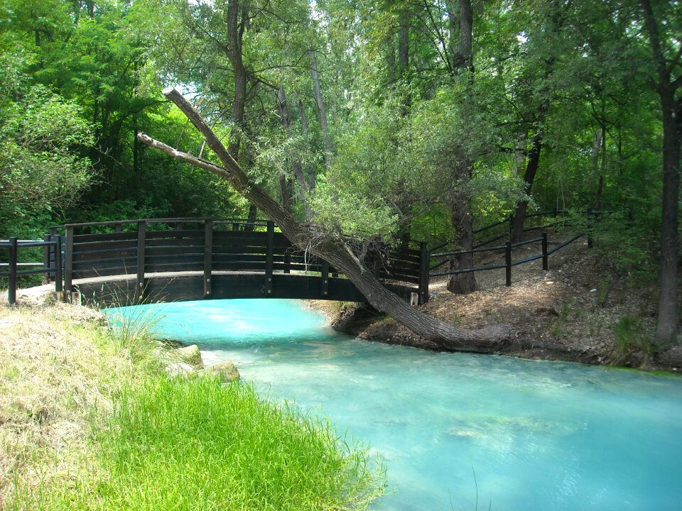 Torrent stream landscape