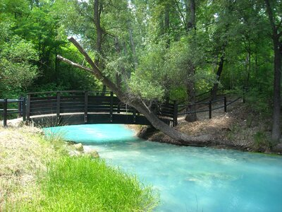 Torrent stream landscape