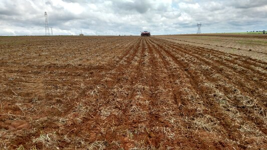 Agriculture planting farm