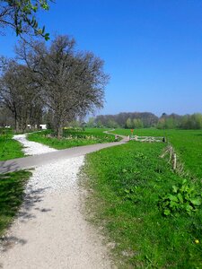 Green landscape choose