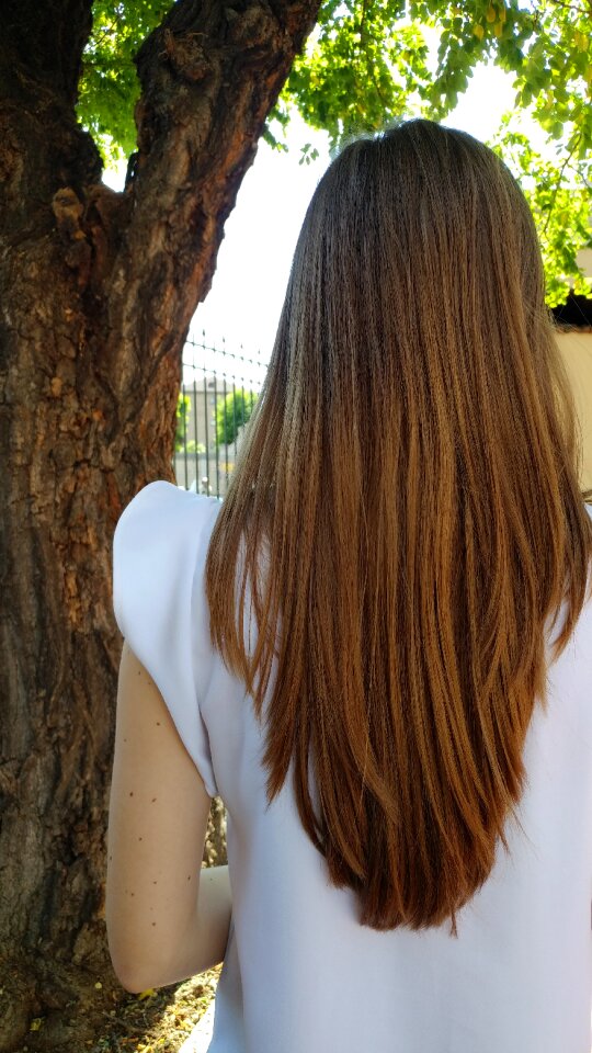 Female fashion tree