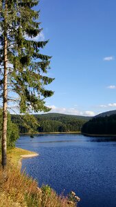 Reservoir forest nature