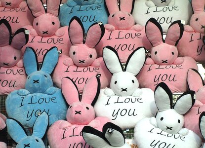 Love fair lot shop