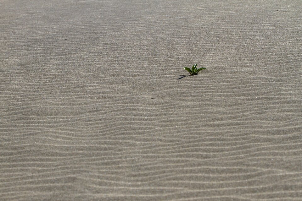 Sand beach than life artist abandoned