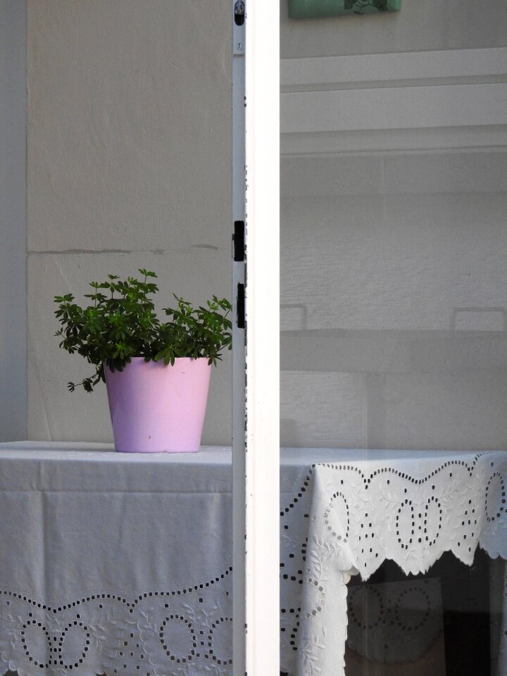 Flowerpot tablecloth table decorations
