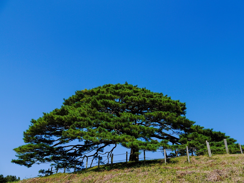 Japan hill sky