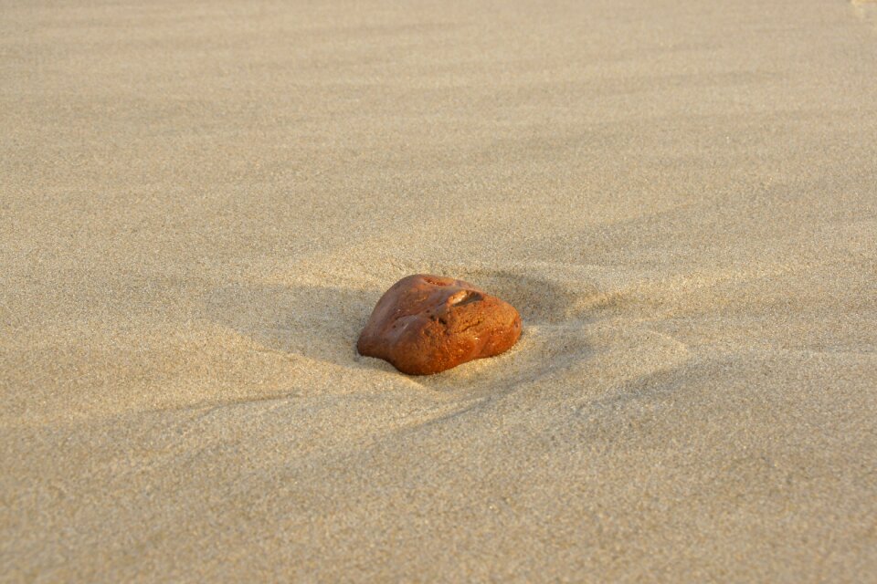 Washed up on sunrise pebble