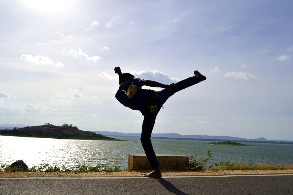 Kung fu karate jeet kune do
