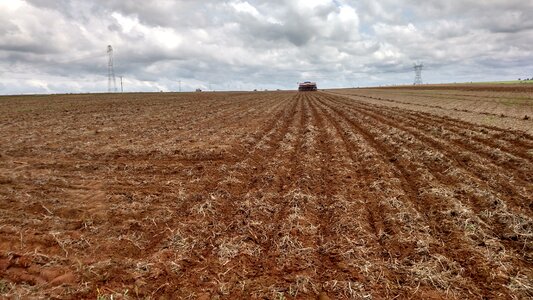 Farm planting cerrado