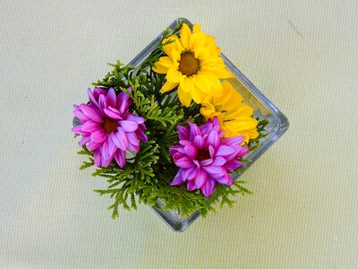 Vase flowers decorative photo