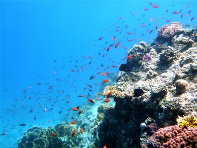Sea blue cay