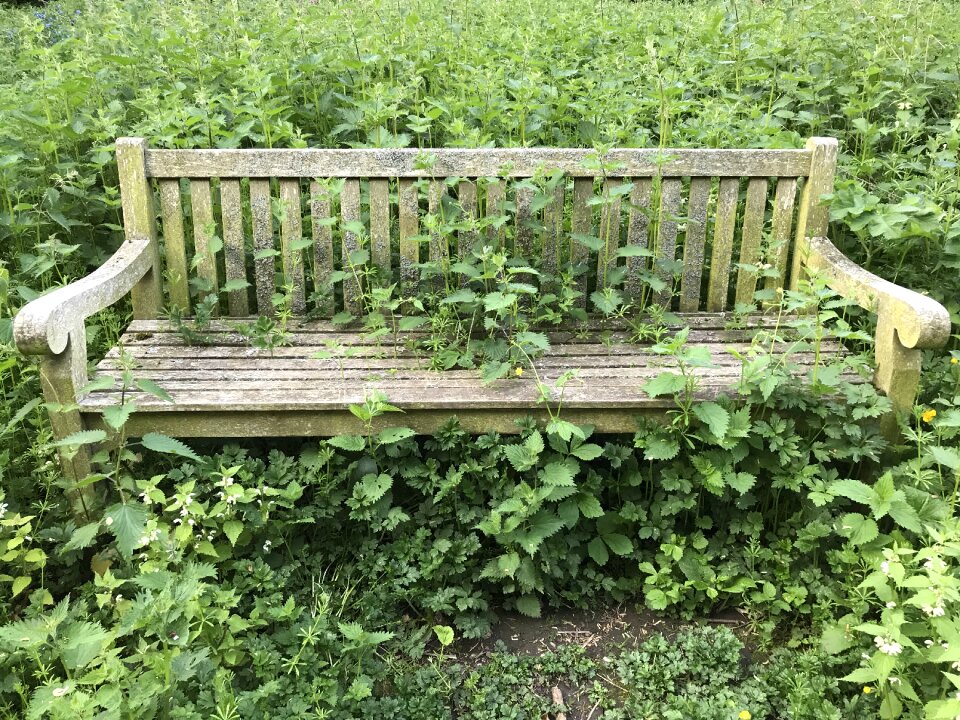 Nature outdoor seat