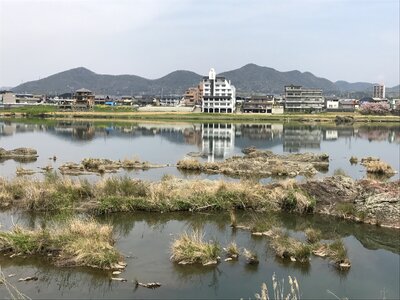 Japan nagoya dog mountain