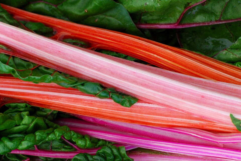 Red summer vegetable