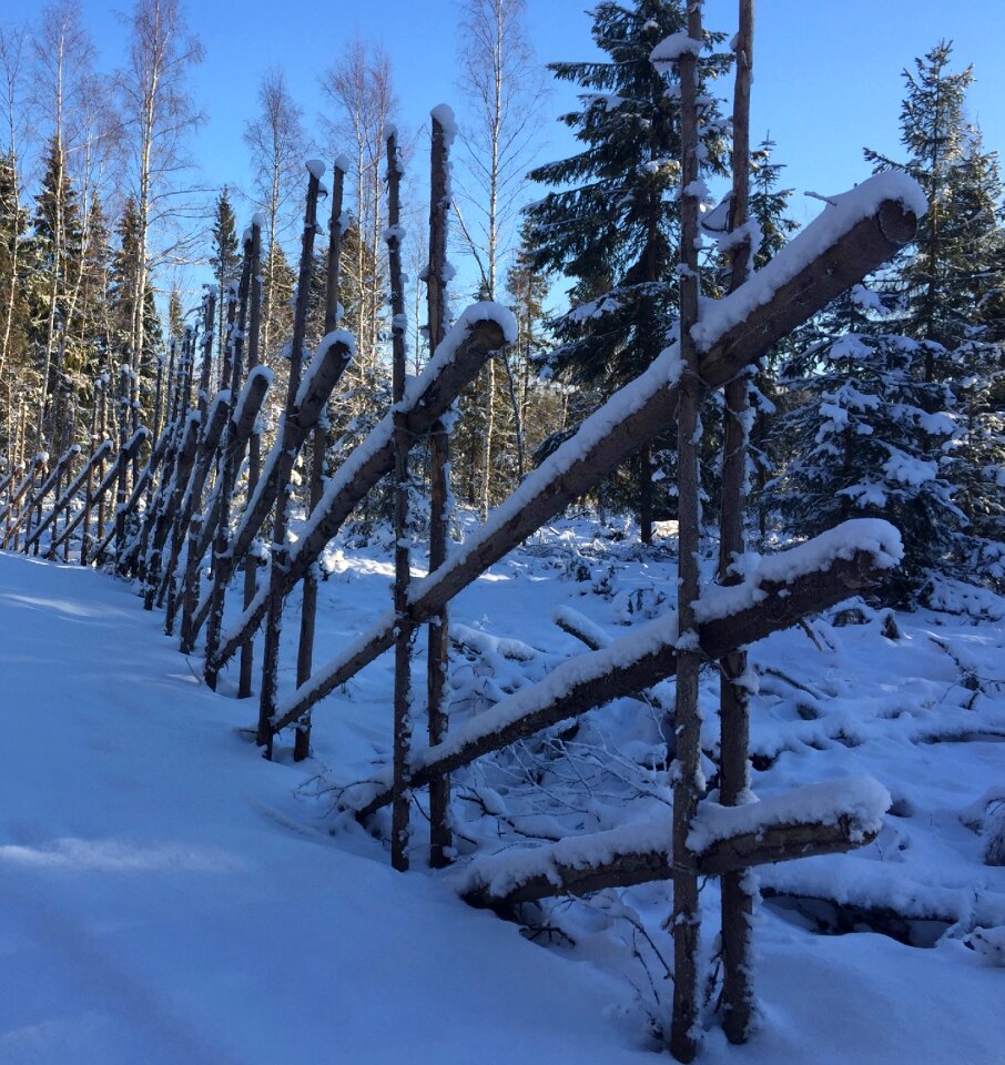The garden farm cold forest