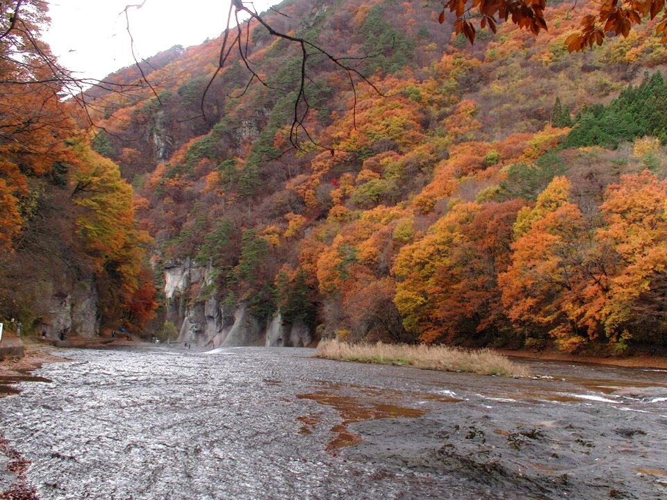 Japan maple falls