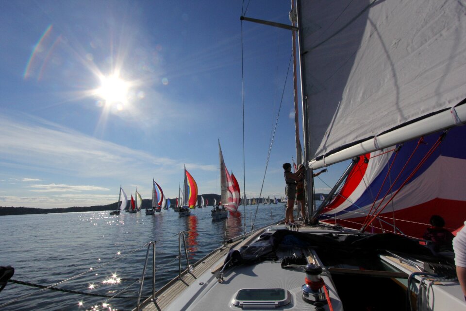Sailing regatta Free photos