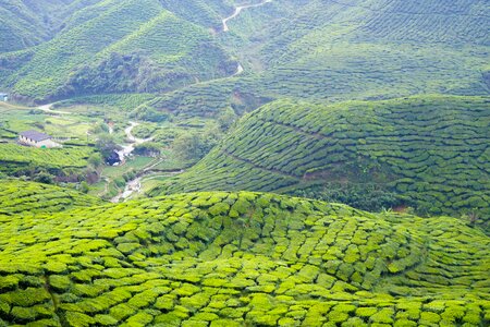 Malaysia nature travel