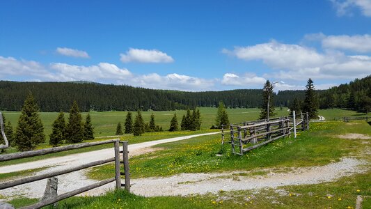 Mountains nature forest