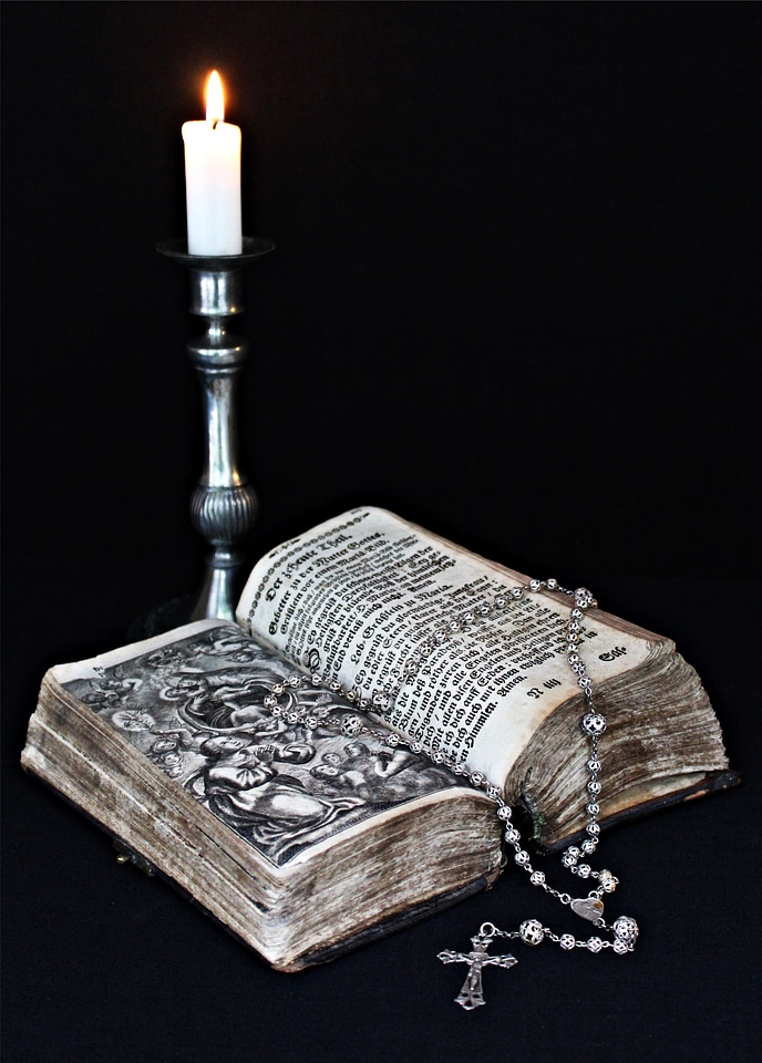 Book believe catholic