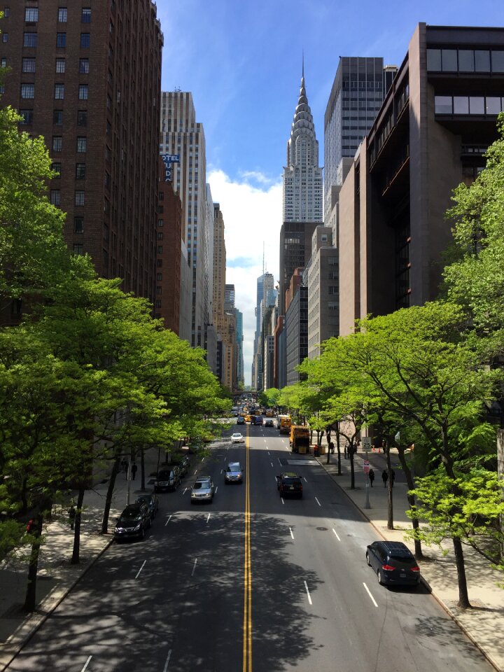 Newyork manhattan green