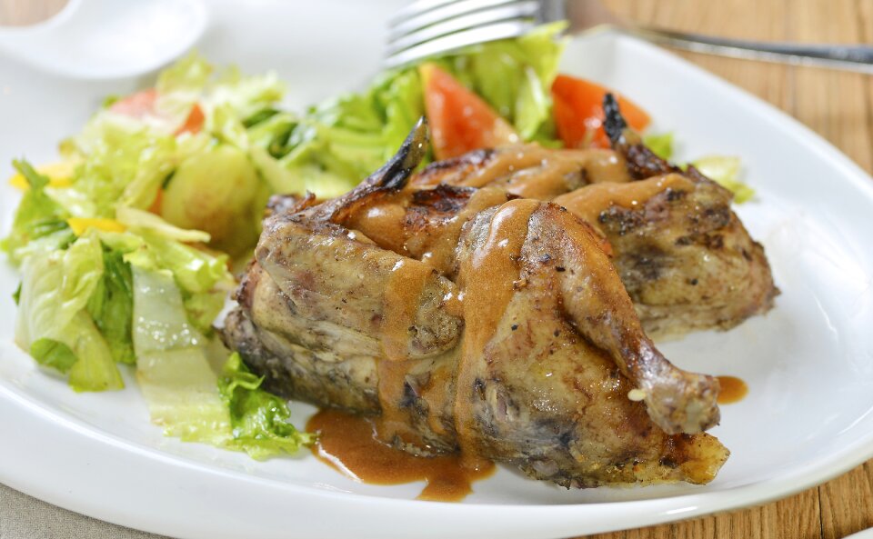 Chicken broiler food