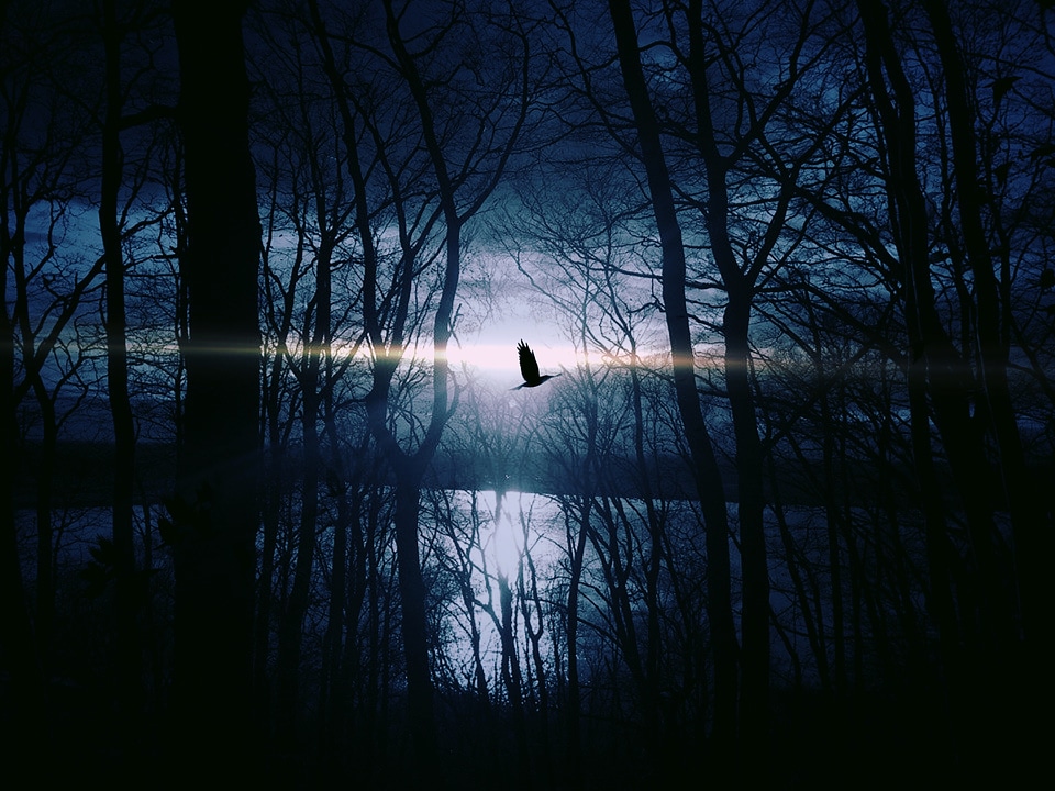 Night weird night sky
