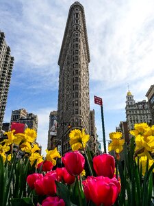 Flower architecture new york photo