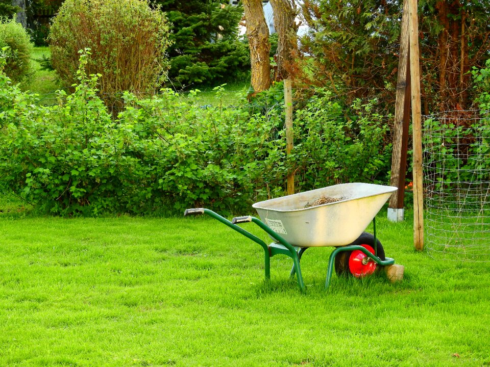 Green gardener nature