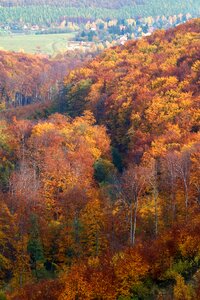 Autumn lights autumn forest mountains photo