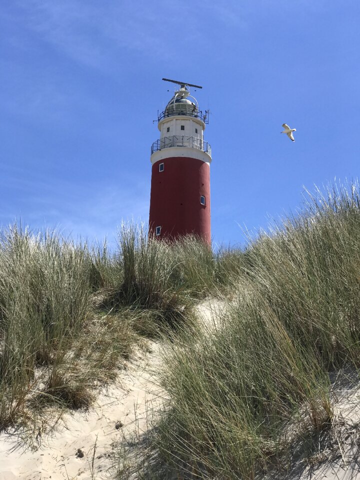 Lighthouse north sea holland