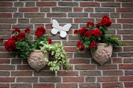 Decoration hauswand creativity