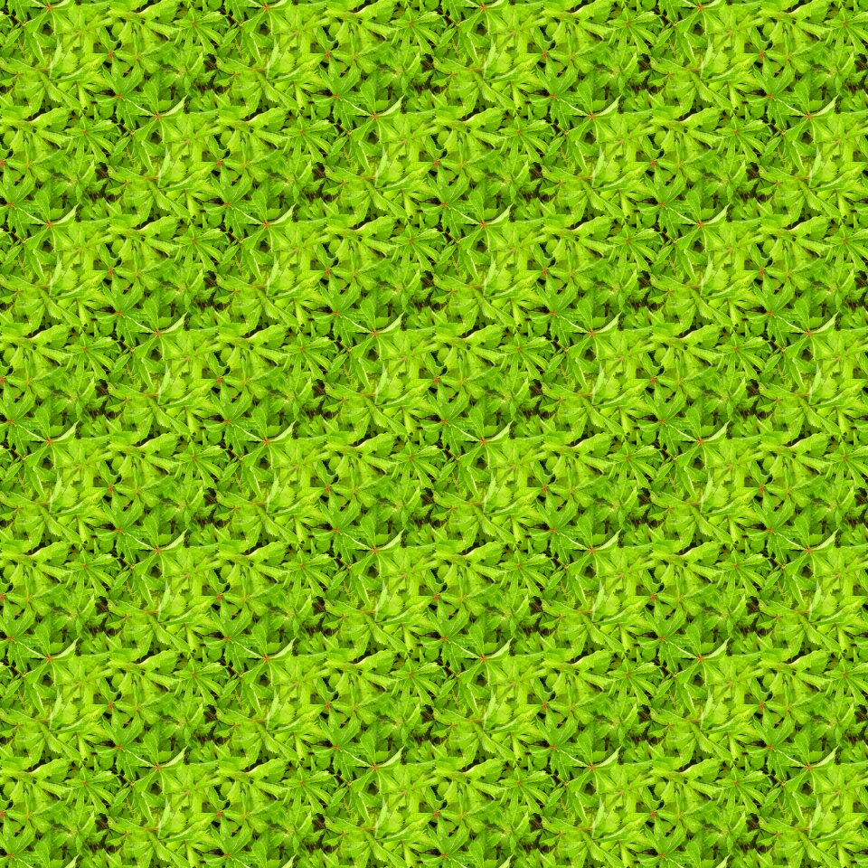 Plants pattern