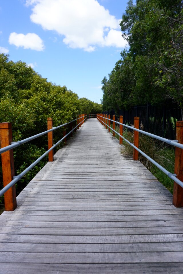 Travel forest park