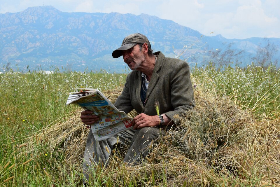 Newspaper hay field