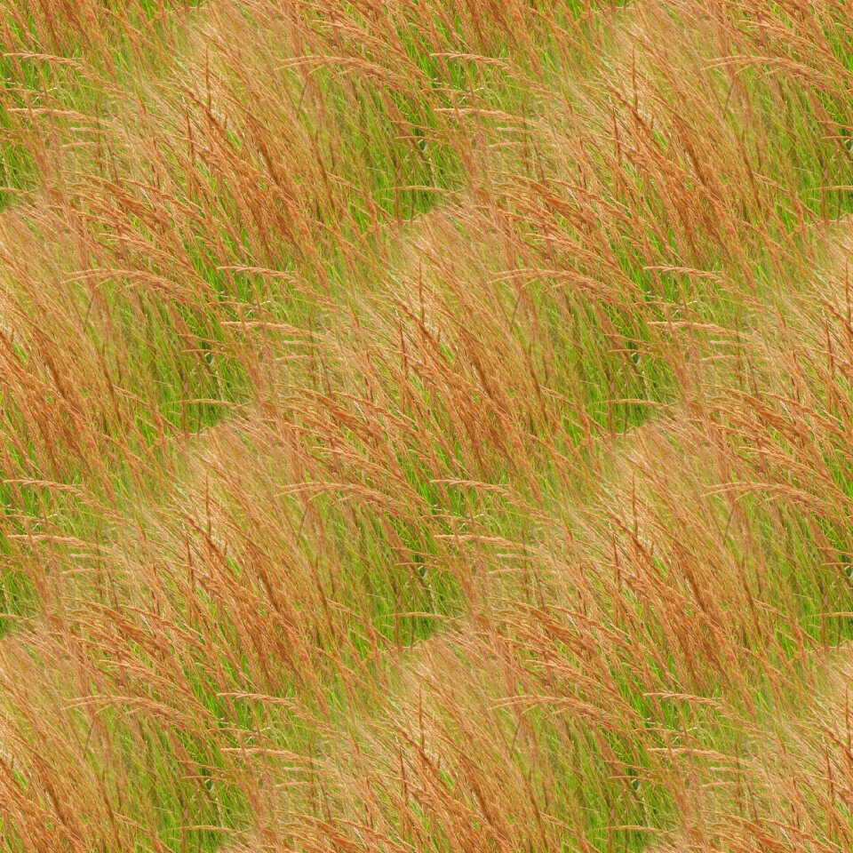 Nature pattern surface