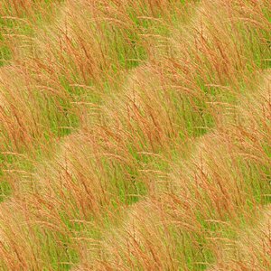 Nature pattern surface