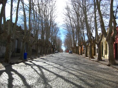 Paving street stone