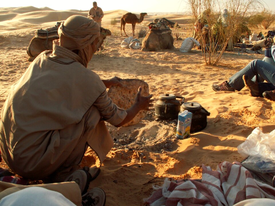 Dromedary sand nature