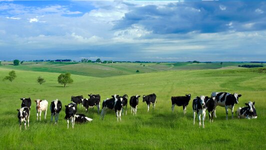 Natural milk products in coimbatore natural milk coimbatore