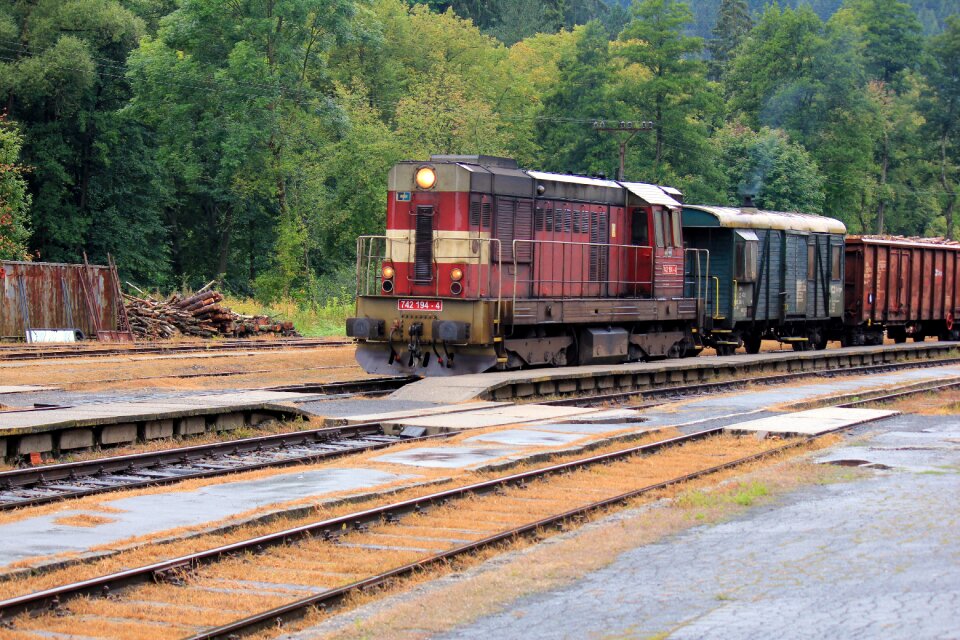Forest station freight train