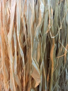 Texture straw-of-the-coast dry straw