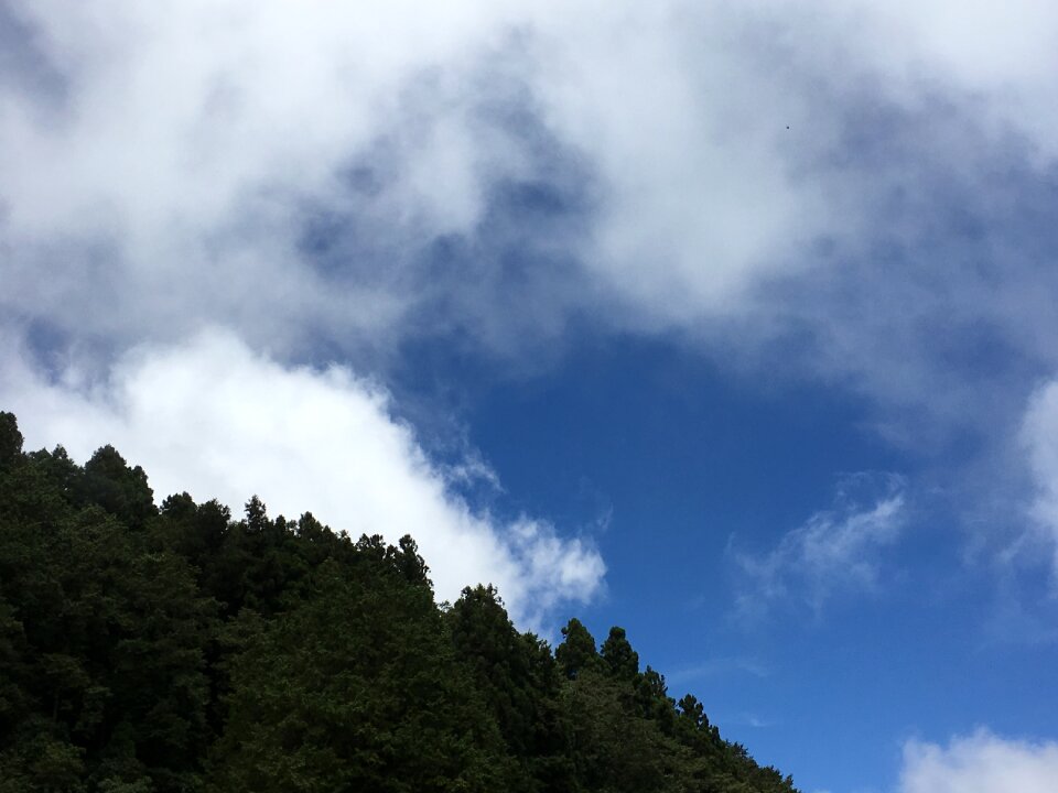 Alishan taiwan blue sky
