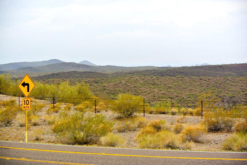 Shrubs usa arizona