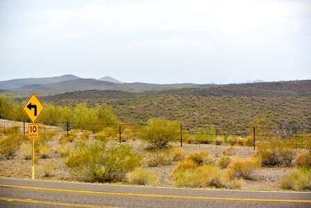 Shrubs usa arizona