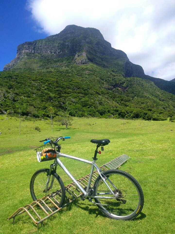 Scenic green bike