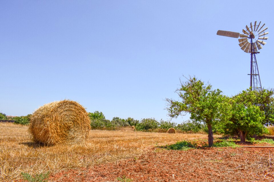 Agriculture landscape rural