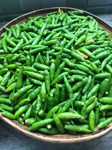 Peppers green aroma