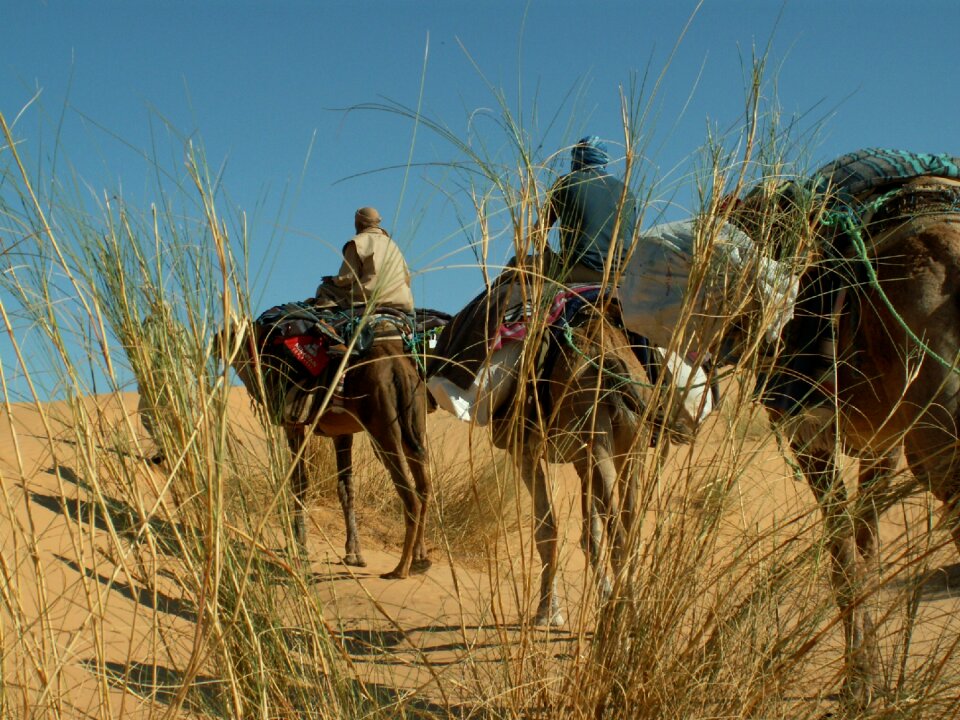 Africa caravan sahara photo