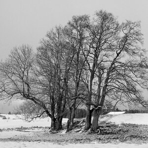 Allgäu wintry snowy photo